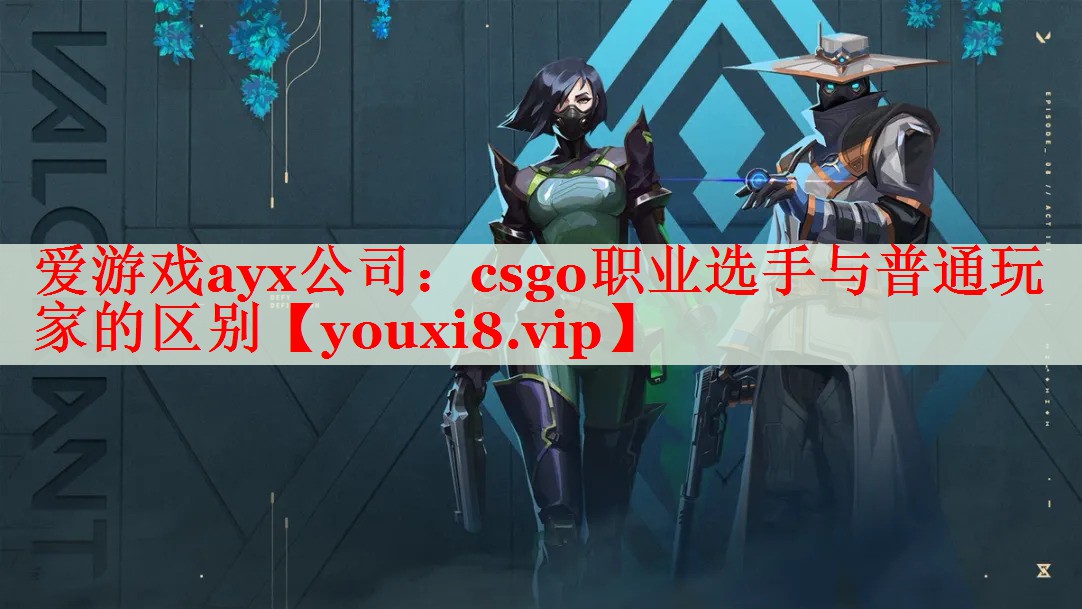 csgo職業(yè)選手與普通玩家的區(qū)別